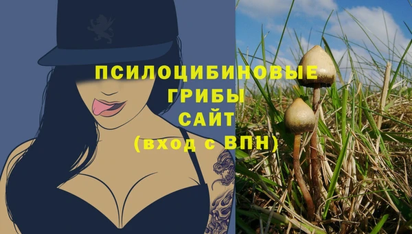 соль курить ск Алексин