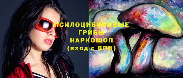 эйфоретик Алзамай
