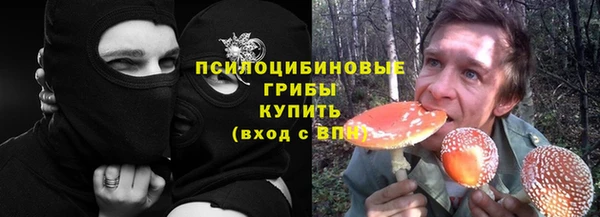 первитин Алексеевка